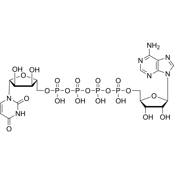 Uridine adenosine tetraphosphate 10527-48-7